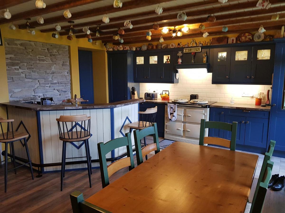 شقة Anascaul  في Traditional Irish Farmhouse المظهر الخارجي الصورة