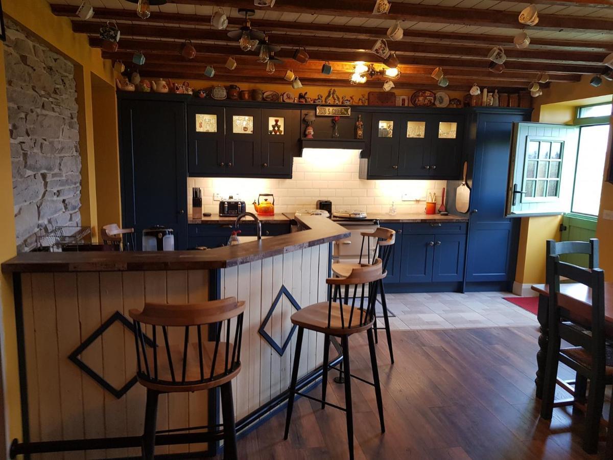 شقة Anascaul  في Traditional Irish Farmhouse المظهر الخارجي الصورة